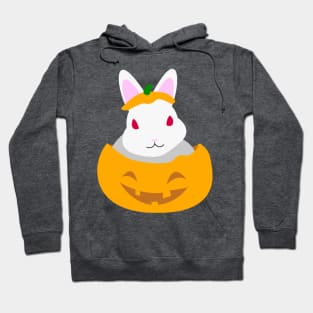 Cute Rabbit In A Pumpkin Hoodie